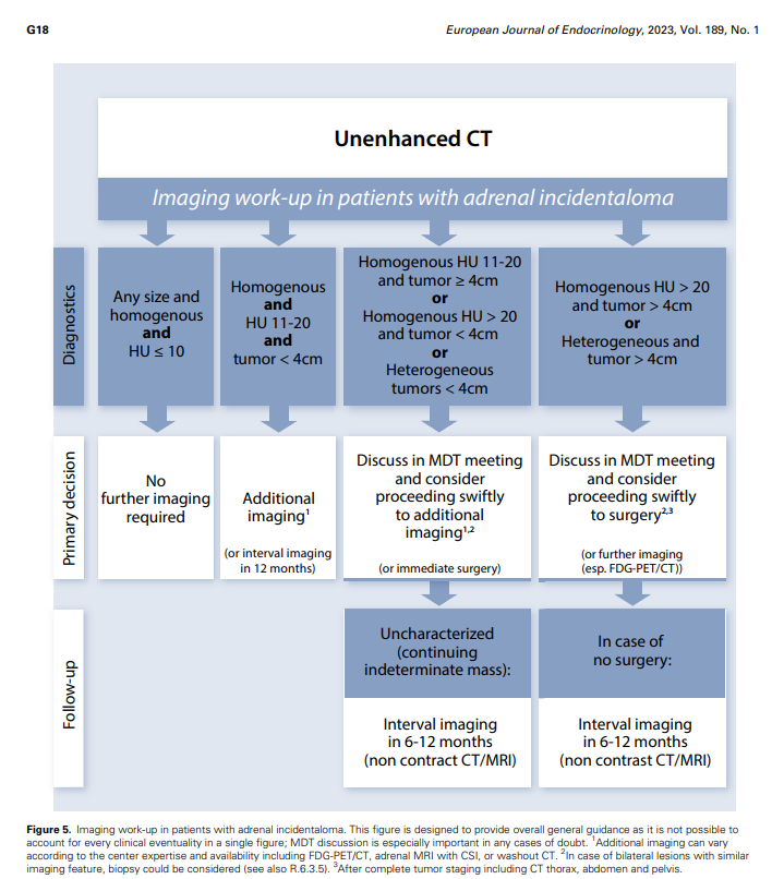 European Society of Endocrinology 2023 adrenal incidentaloma imaging workup