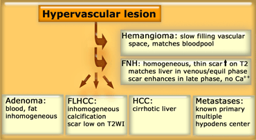 Hypervascular liver lesion differential diagnosis