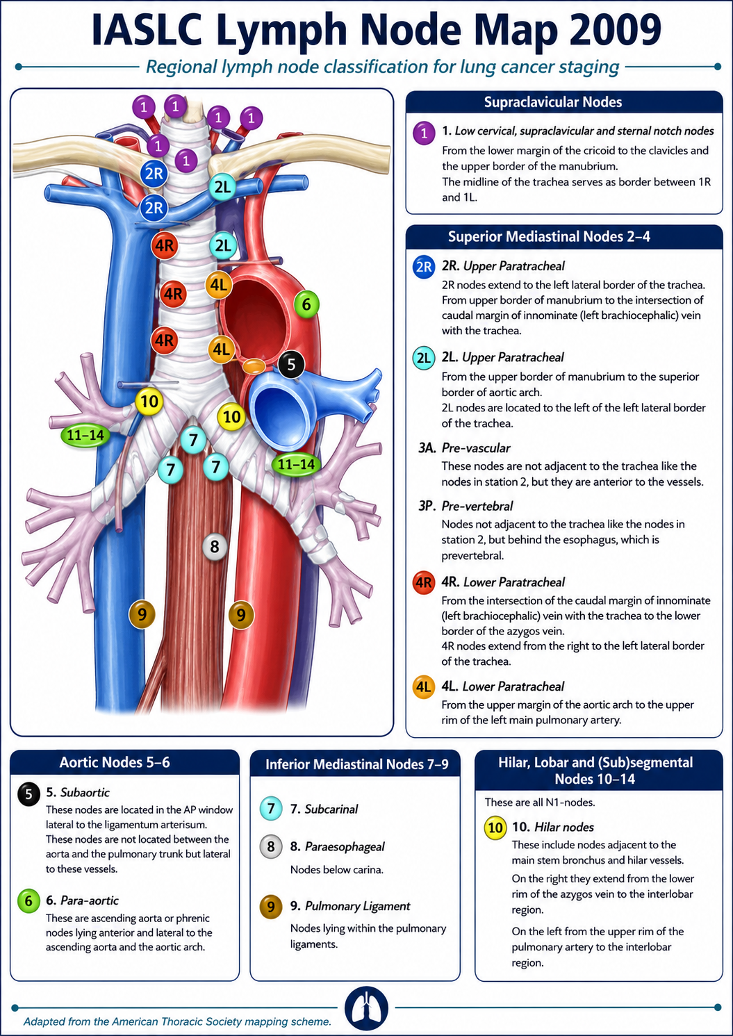 IASLC lymph node map 2009