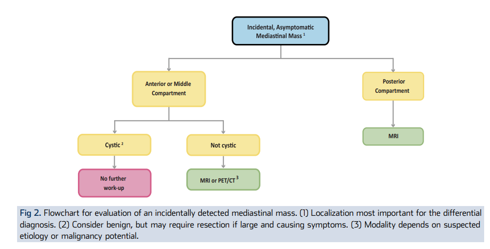 Flowchart for incidental mediastinal mass management
