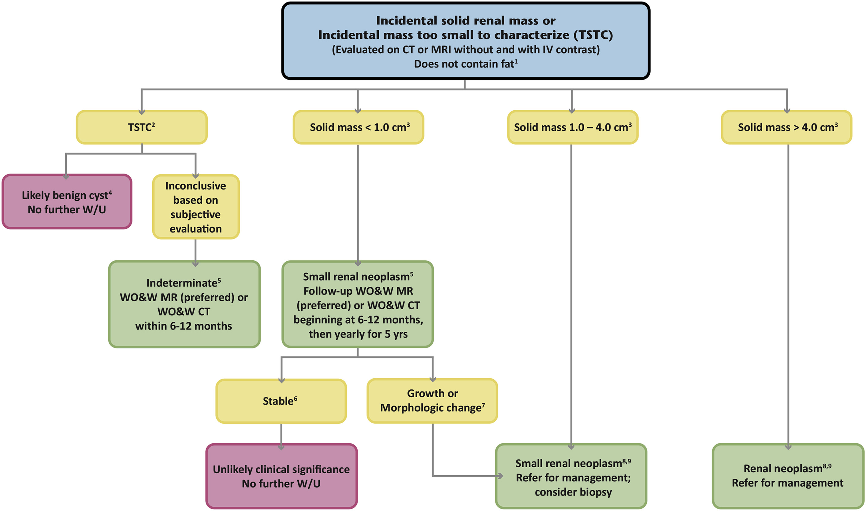 Incidental solid renal mass and too small to characterize renal mass flowchart