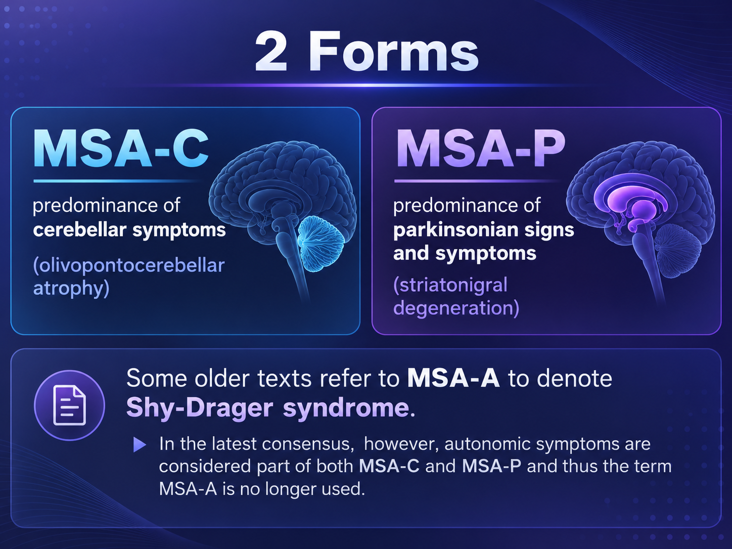 MSA