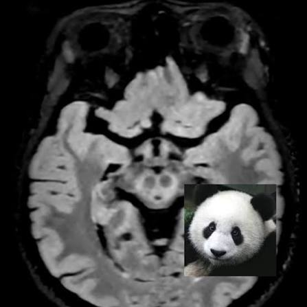 Panda Sign