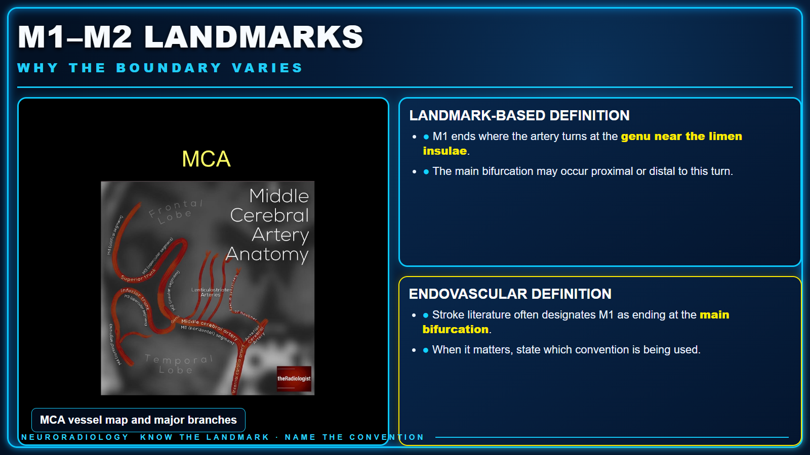 Themed teaching card comparing landmark-based and endovascular definitions of the M1 to M2 boundary