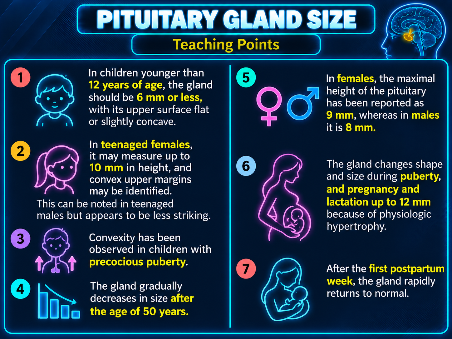 Normal pituitary gland size by age sex and physiologic state