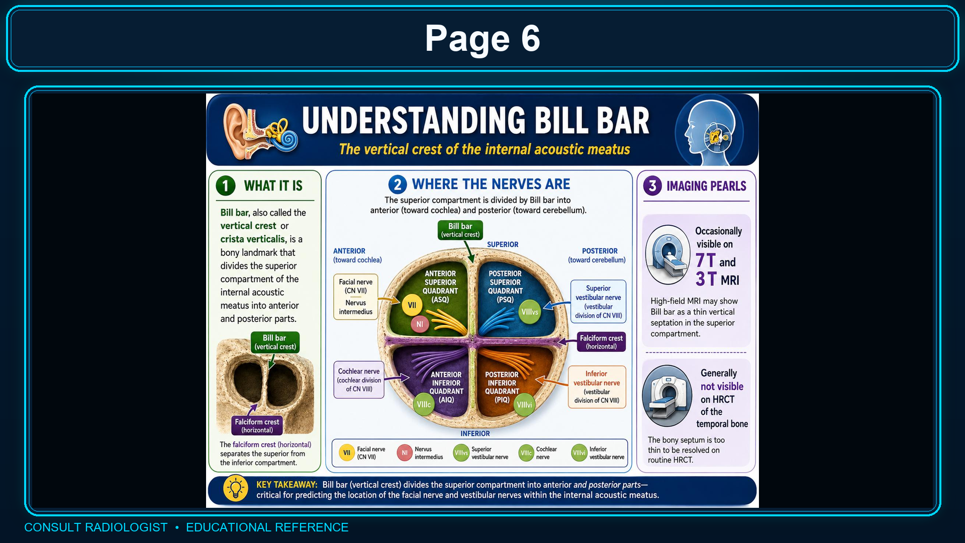 Bill bar and internal auditory canal fundus quadrants