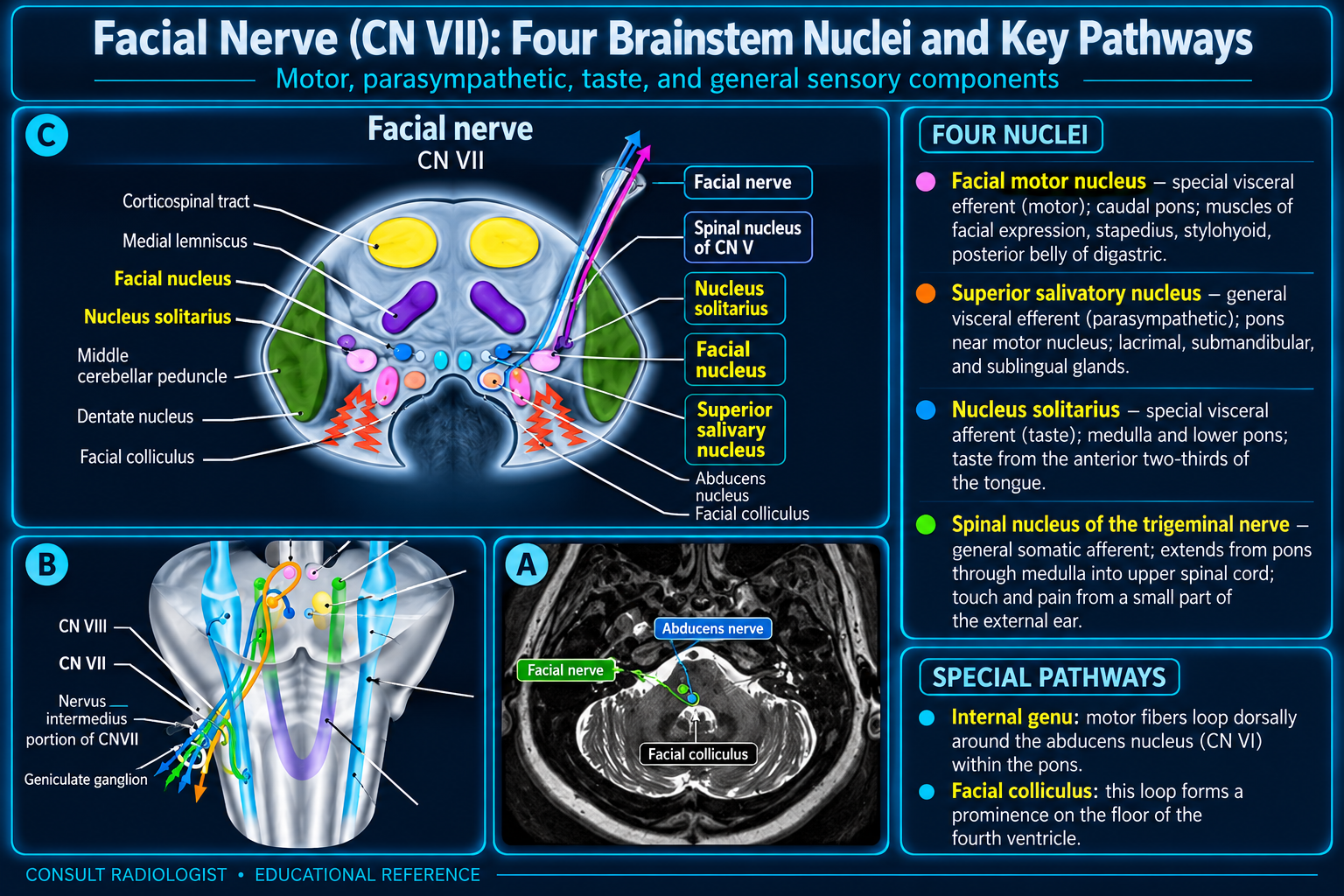 Four facial nerve nuclei and key pathways