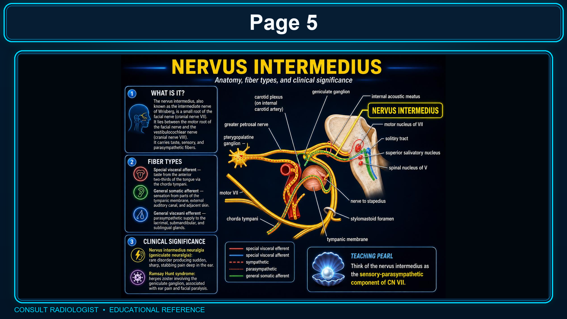Nervus intermedius anatomy and fiber types